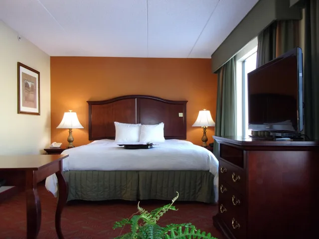 استوديو بسرير كينج بحوض جاكوزي، Hampton Inn Suites Bolingbrook 1/6