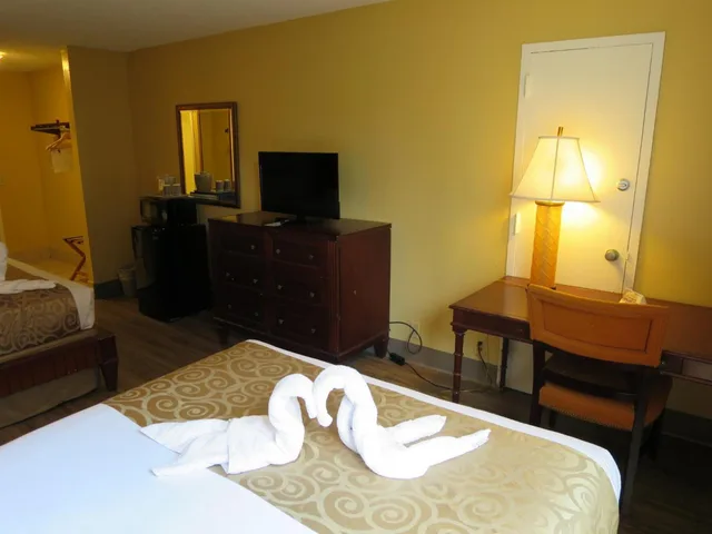 غرفة بسرير كوين بإطلالة على المسبح، B&B Hotel Orlando International Drive near Universal 4/7