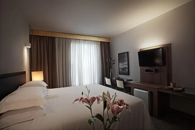 غرفة فاخرة مفردة بسرير مزدوج، Ouro Minas Hotel Belo Horizonte, Dolce by Wyndham 1/5