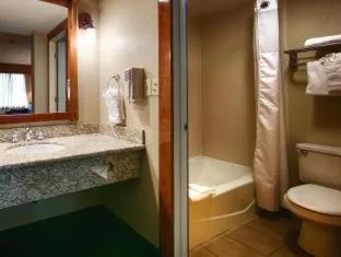 1 Bedroom, Suite, King Bed, Sofa, Best Western Plus High Country Inn 3/3