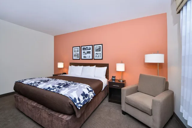 غرفة بسرير كينج بحوض جاكوزي لذوي الإعاقة، Sleep Inn Suites Austin Northeast 2/8