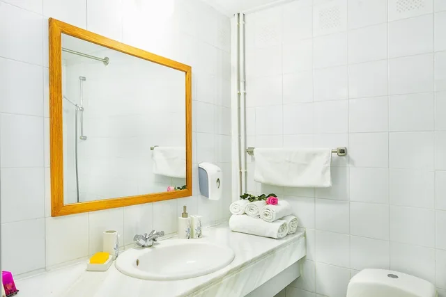 Standard, Double Bed, Troodos Hotel 4/4