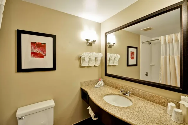جناح بسرير كينج مع أريكة، Hilton Garden Inn Tampa North 1/1