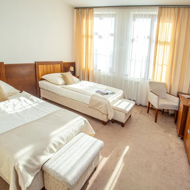 غرفة مفردة، Academic Hotel Zvolen 1/6