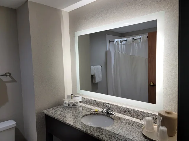 غرفة قياسية بسرير فردي، Holiday Inn Express Hotel Suites Wilson Downtown 1/1