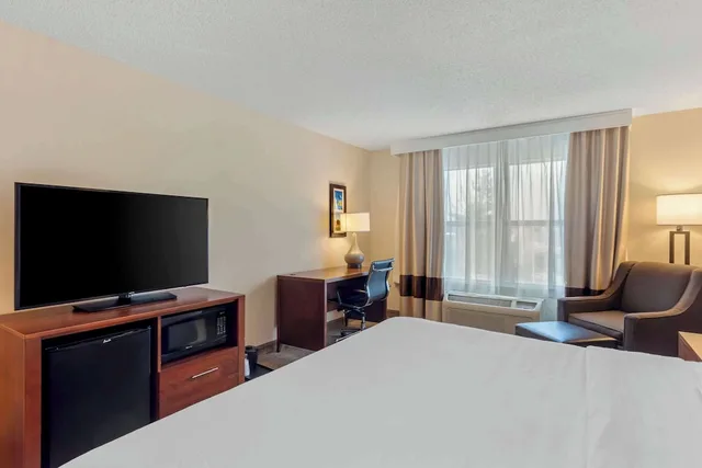 غرفة قياسية بسرير كينج، Comfort Inn & Suites Dover near Speedway 3/4