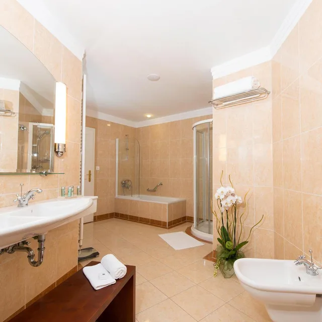 جناح كومفورت، Danubius Health Spa Resort Thermia Palace Formerly Thermia Palace Hotel 6/7