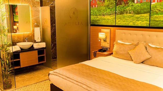 غرفة ديلوكس بسرير مزدوج بإطلالة على المدينة، Aselia Hotel Trabzon 3/5