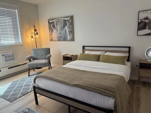 استوديو كومفورت بسرير كوين، Commercial Hotel 4/6