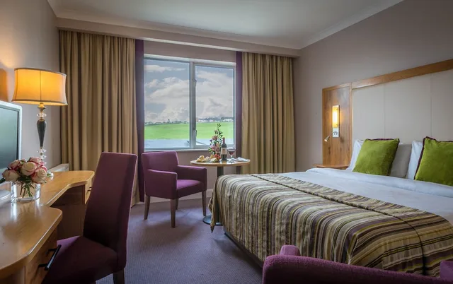 جناح بسرير كينج، Charleville Park Hotel 1/2