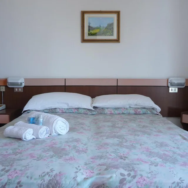 غرفة قياسية بسرير مزدوج أو سريرين منفصلين، Hotel Suprem 5/8