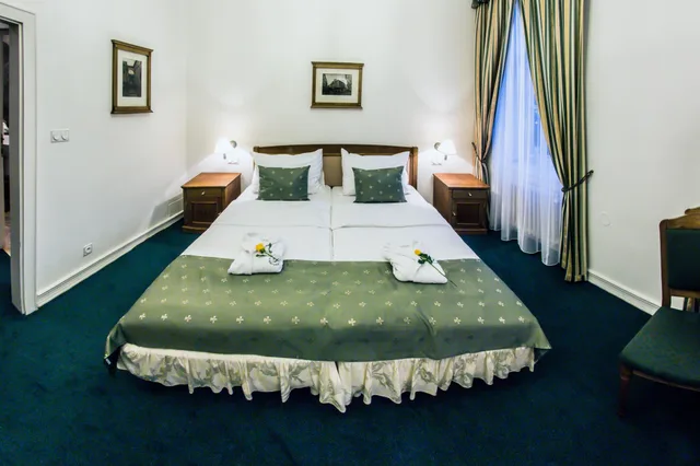 غرفة قياسية بسرير مزدوج، Hotel Dvorak 2/2