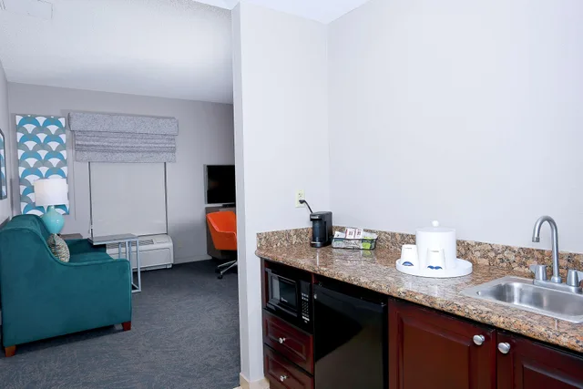 جناح استوديو بسرير كينج مع أريكة، Hampton Inn & Suites Tampa-Wesley Chapel 2/2