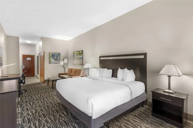غرفة بسرير كينج مع أريكة، Best Western Plus McDonough Inn & Suites 1/8