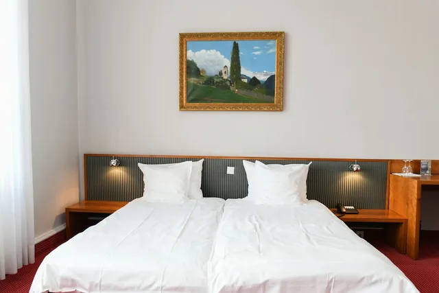 استوديو ديلوكس، Hotel Bamberger Hof Bellevue 12/20