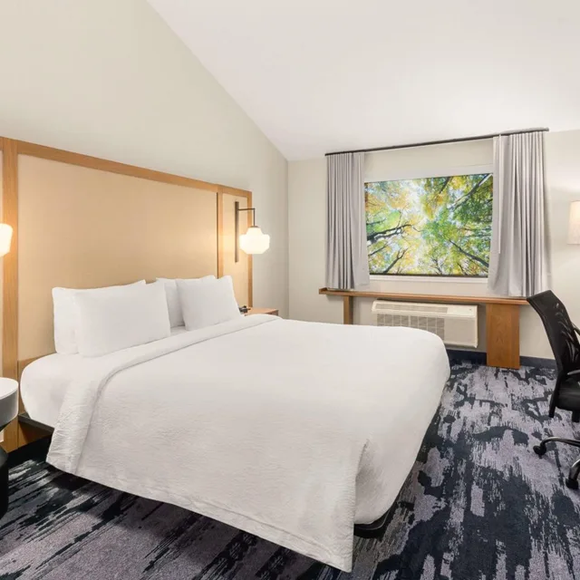 Room, King Bed, Bathtub, Accessible, Fairfield Inn & Suites by Marriott Seattle Downtown/Seattle Center 1/4