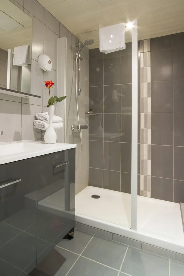 غرفة سوبيريور مفردة بسرير مزدوج، Brit Hotel Confort Roanne Grand Hotel 5/5