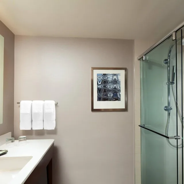Guest Room, King Bed, Park View, The Westin South Coast Plaza 7/13