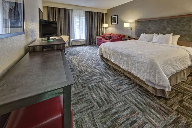جناح بسرير كينج مع أريكة، Hampton Inn Newbery Opera House 1/3
