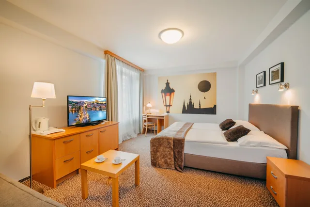 Standard, Single, COLORFACTORY SPA Hotel 8/12