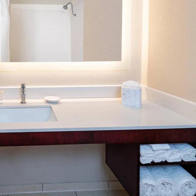 Suite, King Bed, Trundle Bed, Sofa, Accessible, Springhill Suites Houston Medical Center Nrg Park 2/3