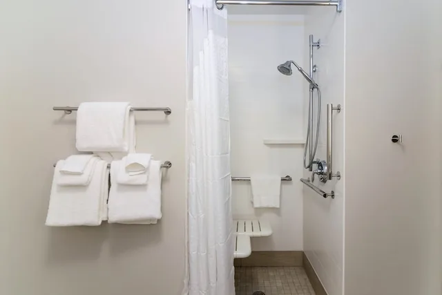 غرفة قياسية بسرير كينج بحوض استحمام لذوي الإعاقة، Holiday Inn Express Suites Allen Park 3/3