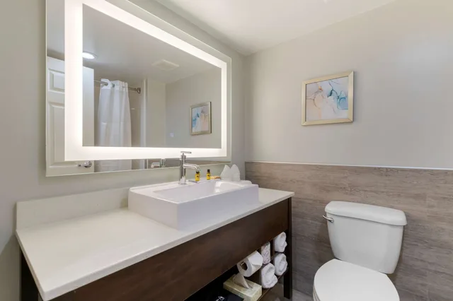 غرفة قياسية بسرير كينج مع أريكة، Best Western Plus McAllen Airport Hotel 3/4