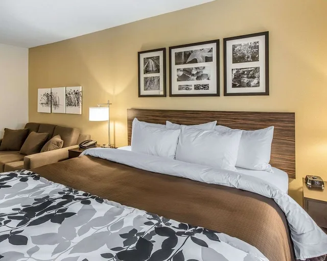غرفة قياسية بسرير كينج، Sleep Inn & Suites Jasper 4/6