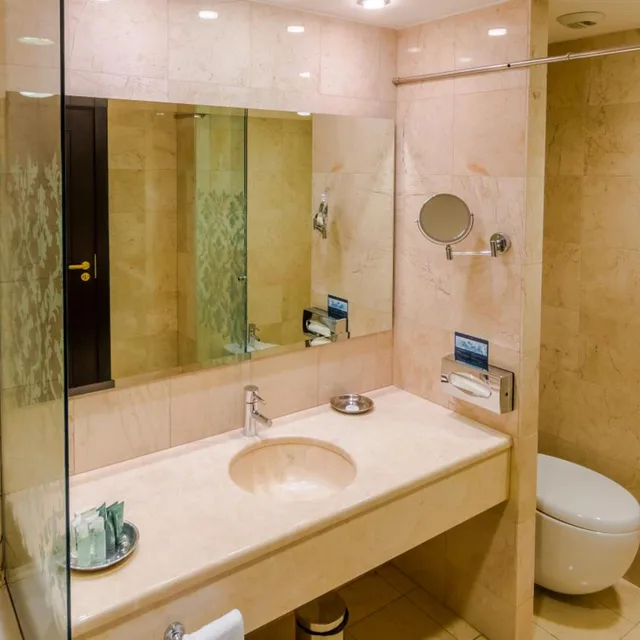 غرفة بسرير فردي، Hilton Sibiu 6/6