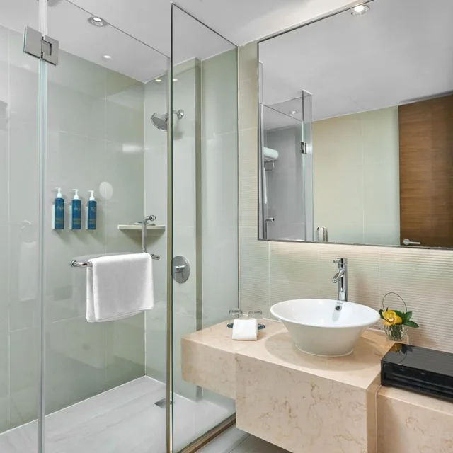 Deluxe, Suite, Four Points By Sheraton Shanghai Daning 6/10