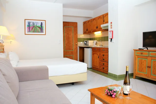 استوديو بسرير مزدوج بإطلالة على المدينة مع أريكة، Ourabay Apartment 1/3