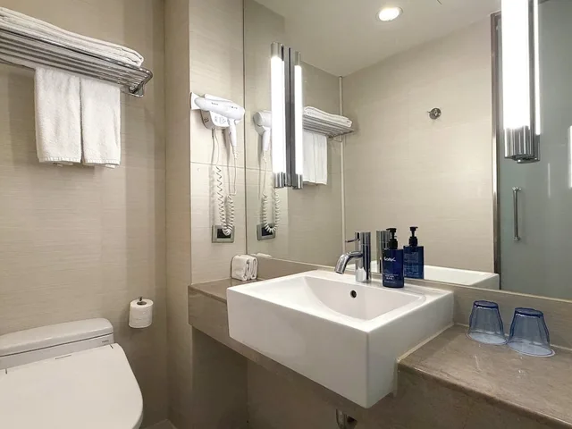 غرفة قياسية بسرير كوين بإطلالة على المدينة، Holiday Inn Express Taoyuan 3/3