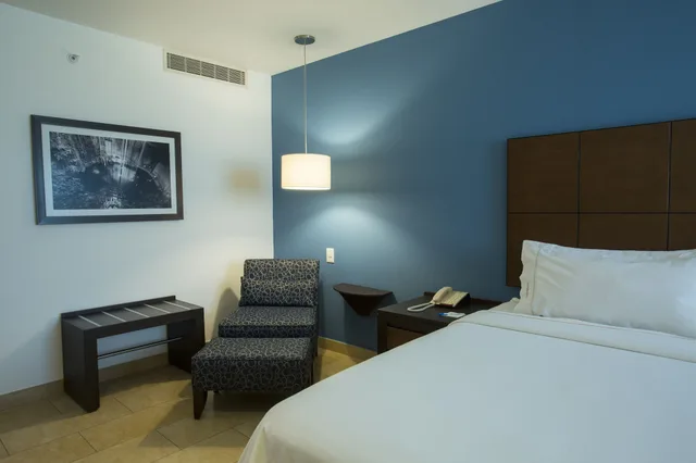 Standard, Single Bed, Holiday Inn Express Merida 4/6