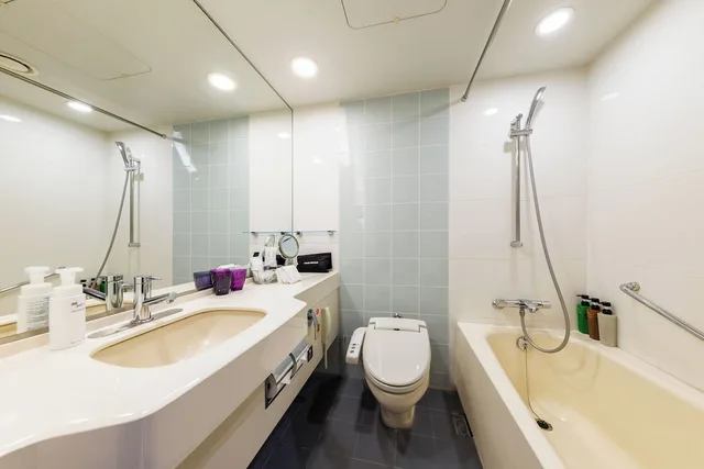 غرفة قياسية بسريرين منفصلين، Hotel Metropolitan Edmont 3/3