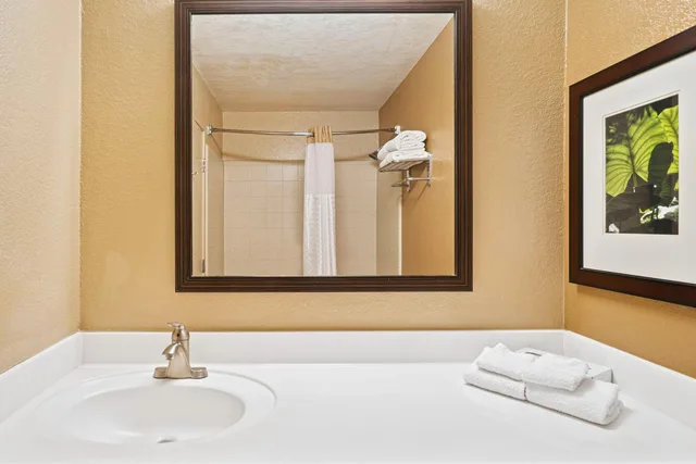Deluxe, Studio, King Bed, Extended Stay America -Washington Dc-Falls Church-Merrifield 8/10