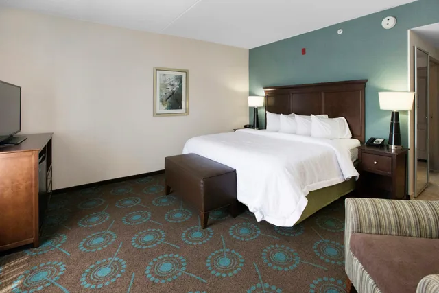 Room, King Bed, Accessible, Hampton Inn Pittsburgh-Bridgeville 2/4