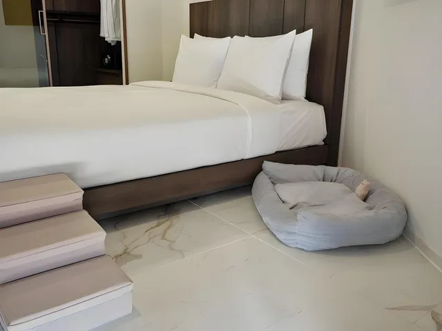 Signature, Botanic, Suite, Pet Friendly، Hotel The Botanik Sewoon Myeongdong 3/3