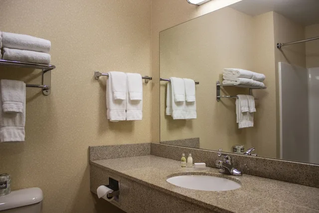 جناح بسرير كينج بحوض جاكوزي بحوض استحمام، Boarders Inn Amp Suites 8/10