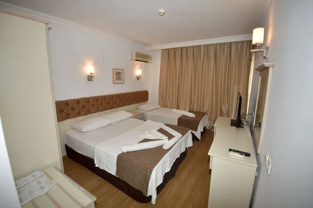 غرفة قياسية بسرير مزدوج وسرير فردي بإطلالة على المدينة، Almena City Hotel 6/9
