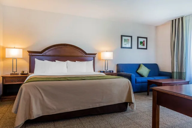 جناح بسرير كينج مع أريكة، Comfort Inn & Suites South Burlington near University 1/3