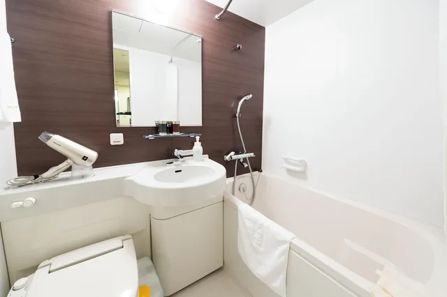 Moderate, Twin Beds, Unit Bath، Dormy Inn Premium Wakayama 4/5