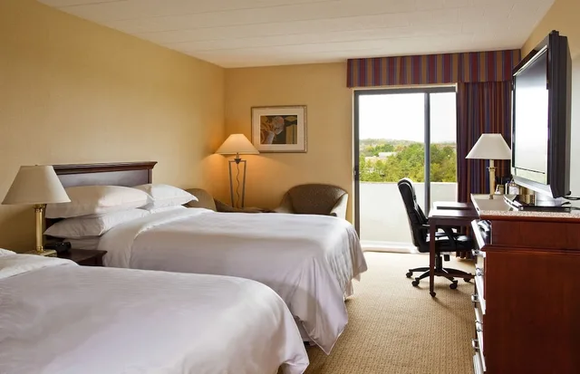 Room, King Bed, Pool Side، Radisson Hotel Hauppauge-Long Island 3/9