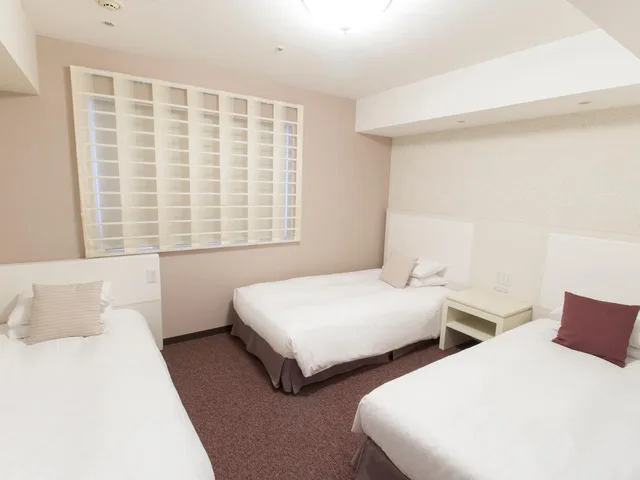 غرفة قياسية ثلاثية ركنية، Hearton Kita Umeda 2/2