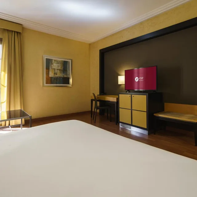 غرفة بسرير مزدوج مع أريكة، Exe Almeria Center 7/9