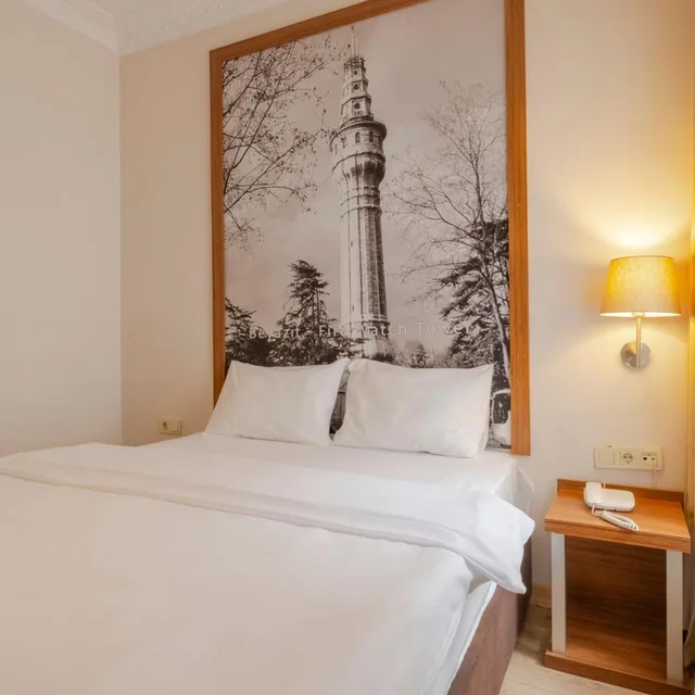 غرفة قياسية بسرير مزدوج أو سريرين منفصلين، Sisli MLS Hotel 2/10