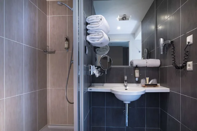 Super, Twin Beds, Queen Bed, Lake View، Best Western Plus Hotel Les Rives Du Ter 6/6
