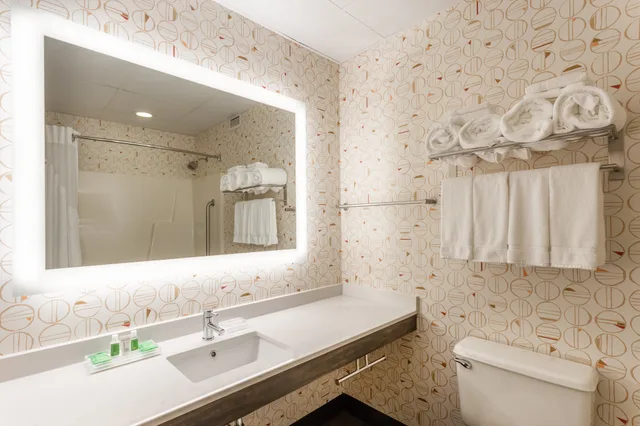 غرفة قياسية بسرير كينج، Holiday Inn Philadelphia South-Swedesboro 2/2
