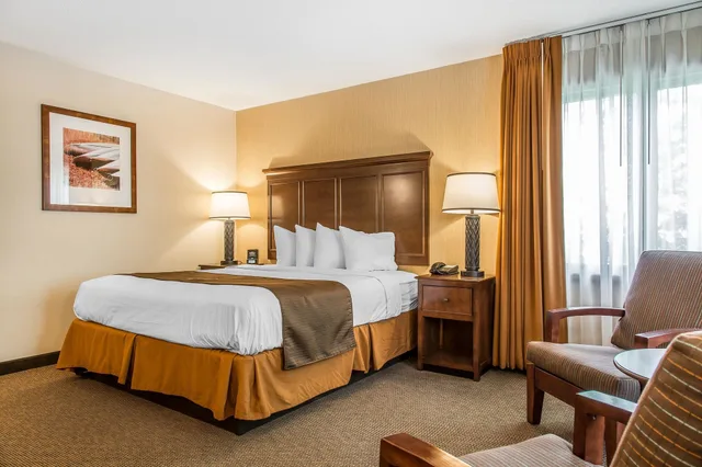 Superior, King Bed, The Black Swan Lee Lenox An Ascend Collection Hotel 3/10