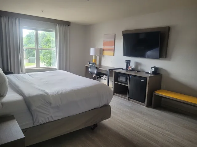 غرفة بسرير كينج لذوي الإعاقة، Comfort Inn & Suites Dothan Northside Plaza 4/10