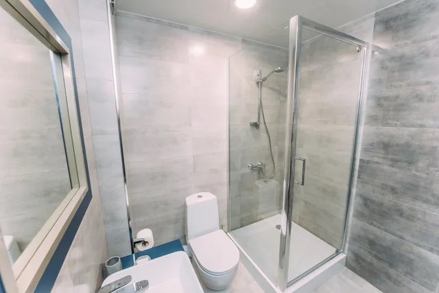 Deluxe, Single, Hotel Sapphire Bakuriani 3/3